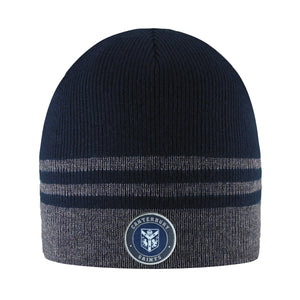 Logofit Stripe Beanie
