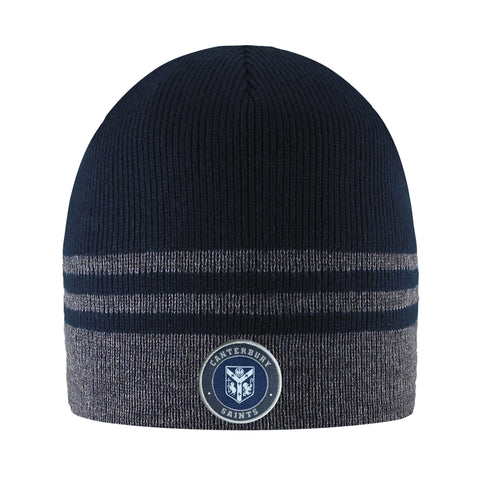 Logofit Stripe Beanie