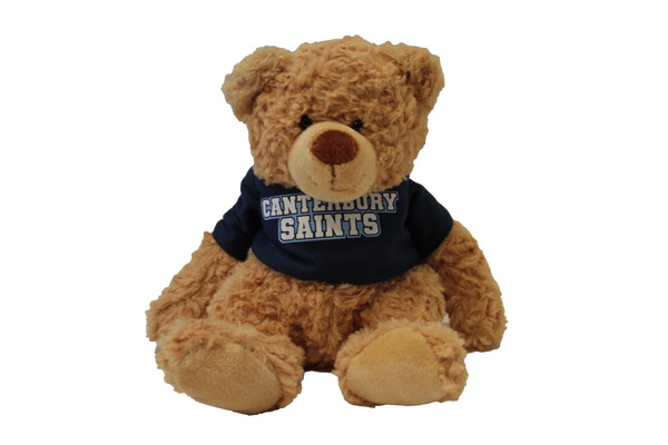 Cuddle Buddy Stuffed Animals