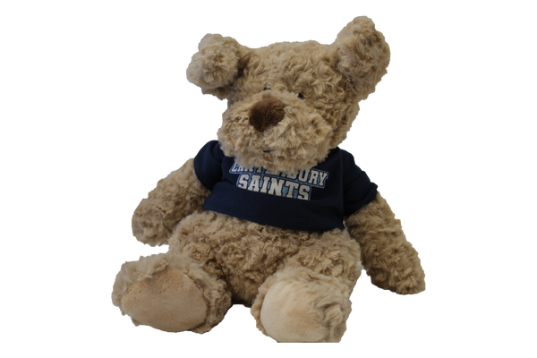 Cuddle Buddy Stuffed Animals