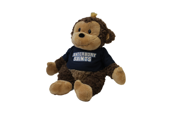 Cuddle Buddy Stuffed Animals