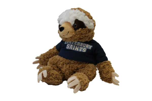 Cuddle Buddy Stuffed Animals